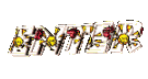 Enter
